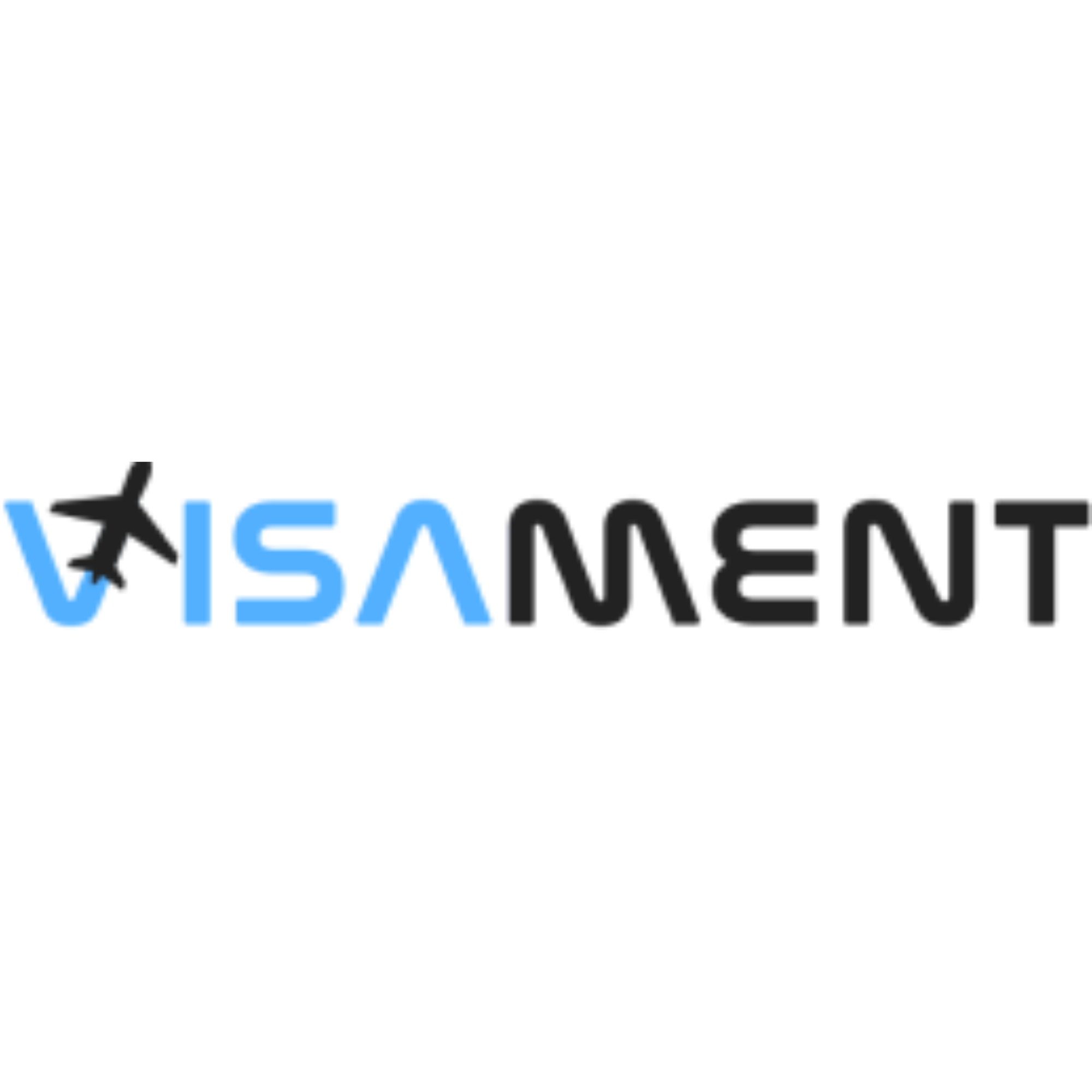Visament